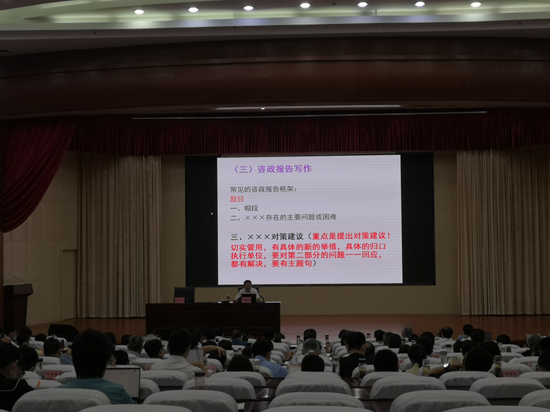 輔導咨政報告撰寫