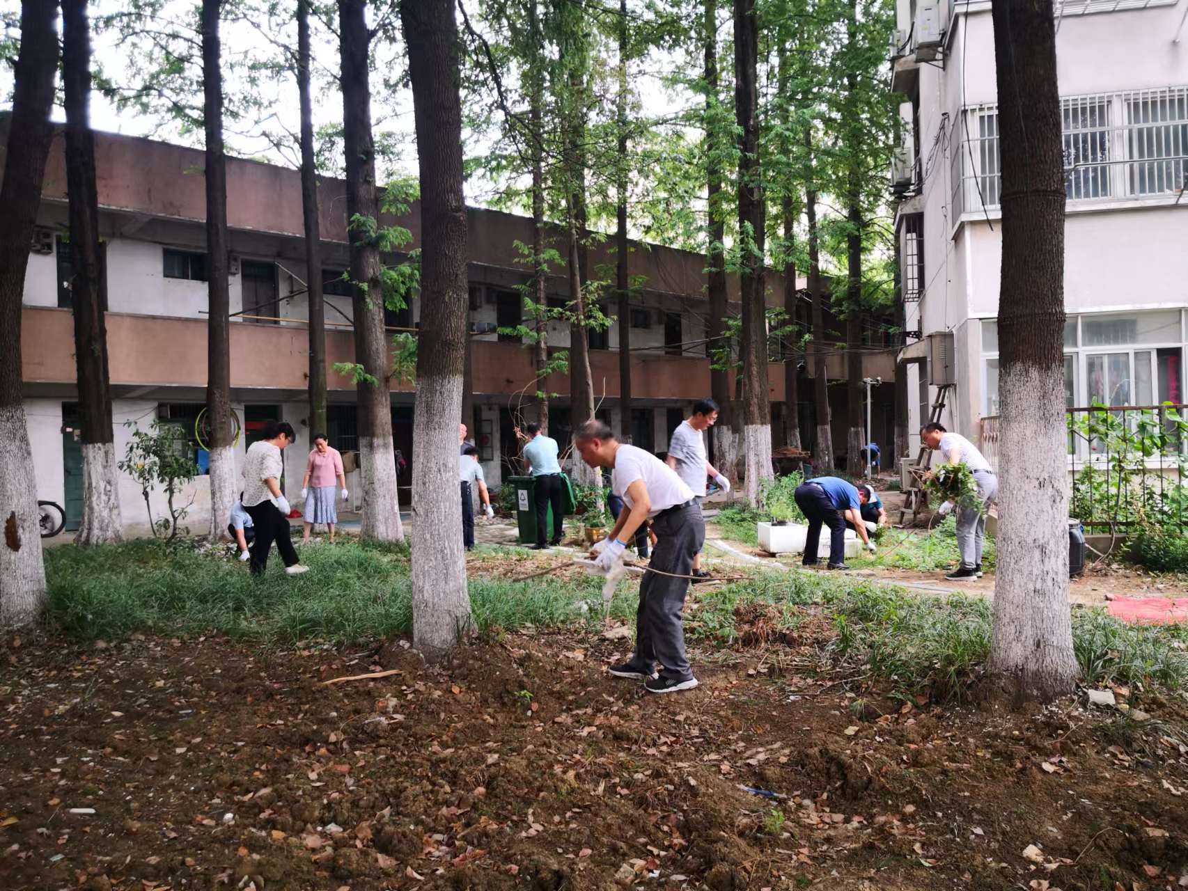 1658820713332 1658820713332