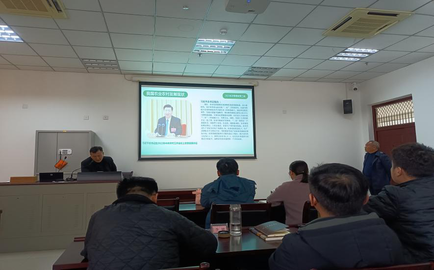 1680078904278 圖片3