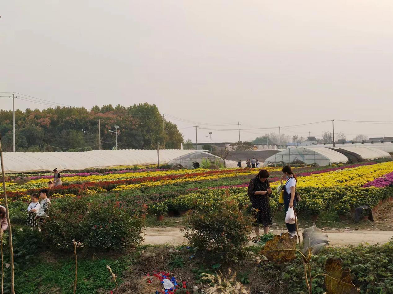 1698636240716 1698636240716